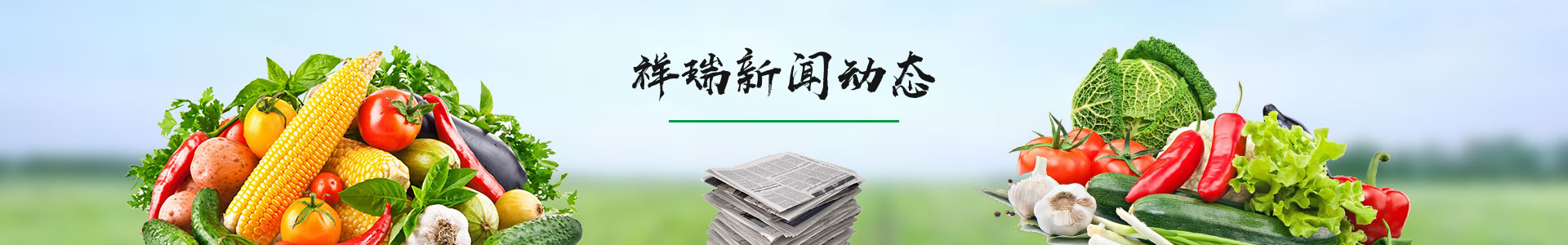 新聞資訊banner_新聞資訊banner_深圳市益佳餐飲管理服務有限公司