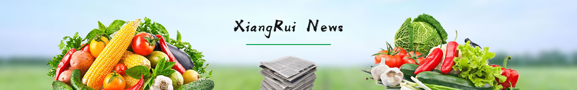 新聞資訊banner_新聞資訊banner_Shenzhen Xiangrui Catering Management Co., Ltd.